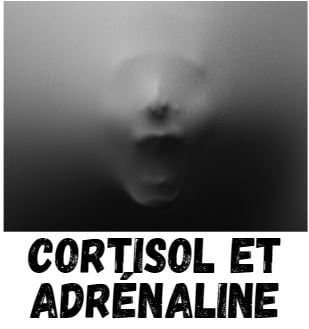 CORTISOL ET ADRENALINE