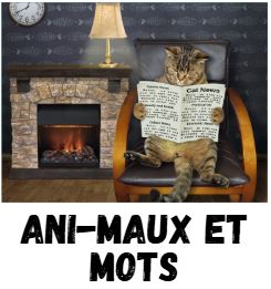 animaux affiche