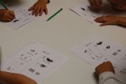 IMG6846